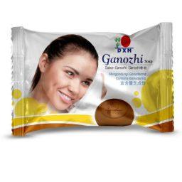 ganonzhi-soap-256×256-1.jpg